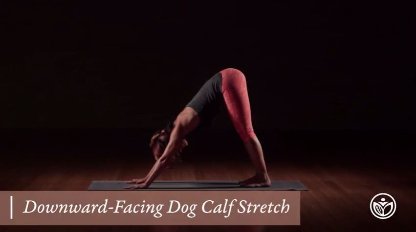 Downward Dog Stretch