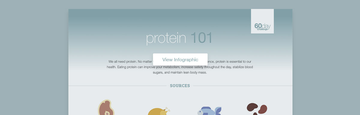 infographicheader 4 protein