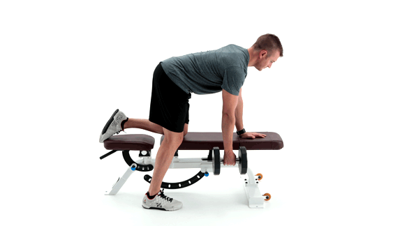 Dumbbell Bench Row