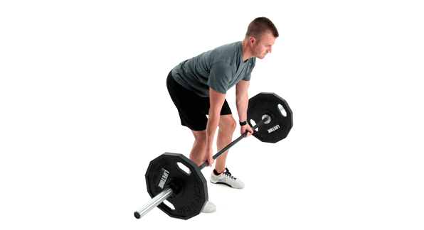 Bent-Over-Reverse-Row Bent Over Reverse Row
