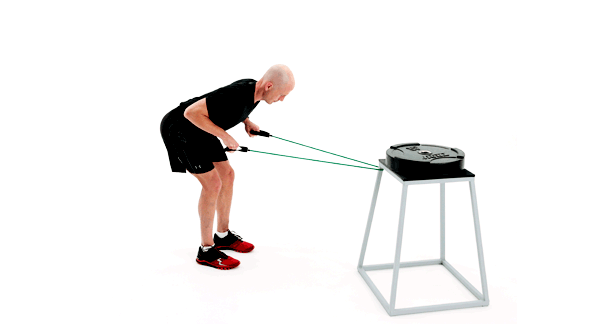Flourish-RB-Tricep-Kickbacks Flourish RB Tricep Kickbacks